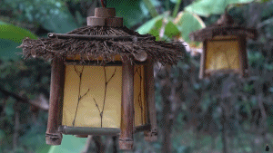 燈2.gif